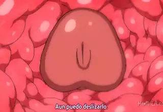 Sei Brunehilde Gakuen Shoujo Kishidan to Junpaku no Panty The Animation Episode