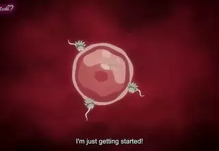 Sexy animation hentai