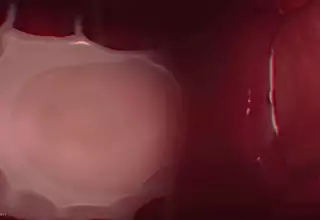 All the way through